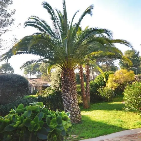 Villa De 5 Chambres Avec Piscine Privee Jardin Clos Et Wifi A A 1 Km De La Antibes